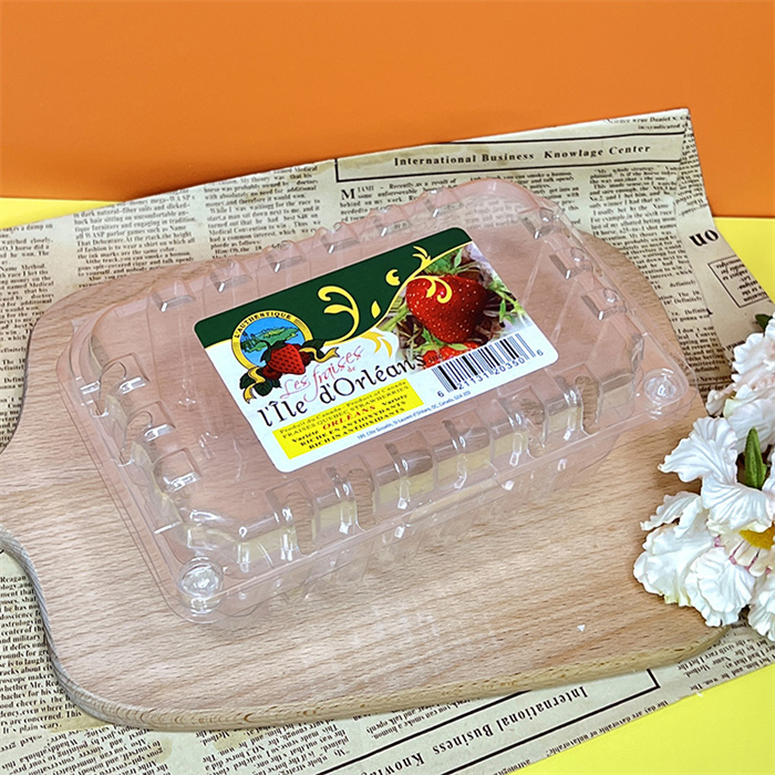 454G  fruit clamshell  from mmcis china